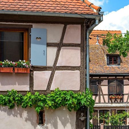 Le Nid De Birsa, 3 Etoiles, Hebergement De Tres Bon Confort Boersch Exteriör bild