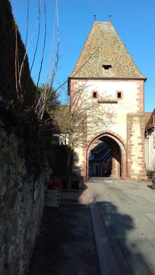 Le Nid De Birsa, 3 Etoiles, Hebergement De Tres Bon Confort Boersch Exteriör bild