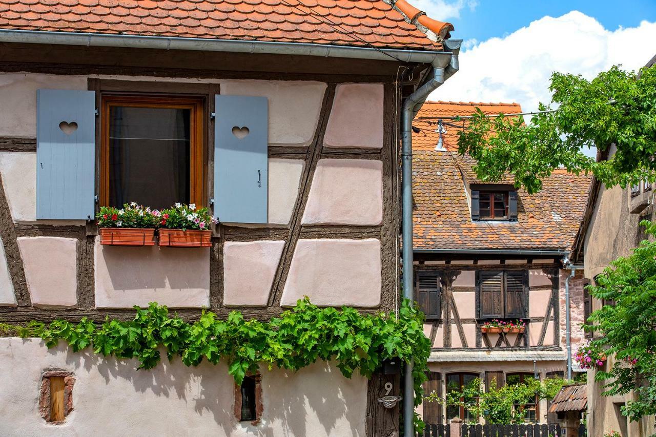 Le Nid De Birsa, 3 Etoiles, Hebergement De Tres Bon Confort Boersch Exteriör bild