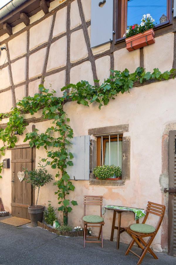 Le Nid De Birsa, 3 Etoiles, Hebergement De Tres Bon Confort Boersch Exteriör bild