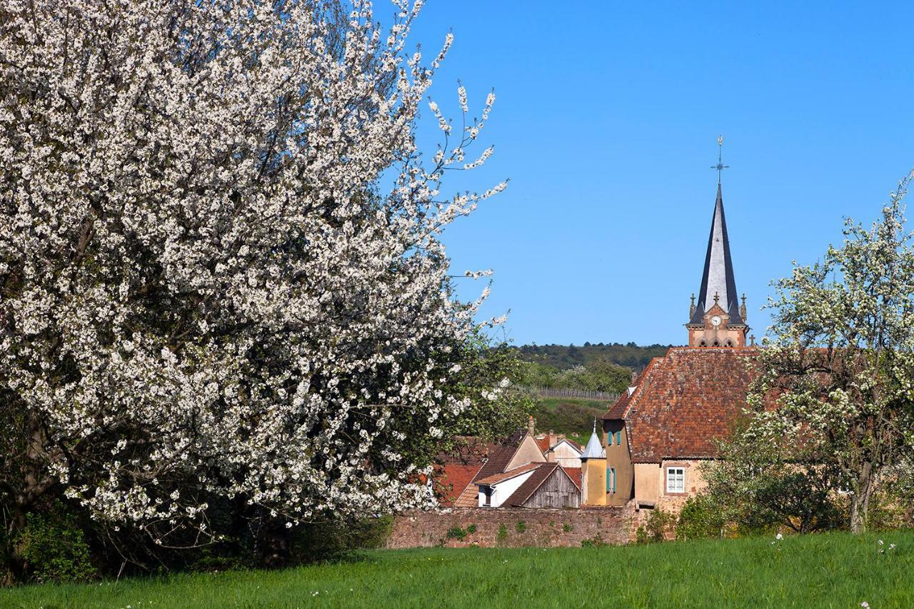 Le Nid De Birsa, 3 Etoiles, Hebergement De Tres Bon Confort Boersch Exteriör bild